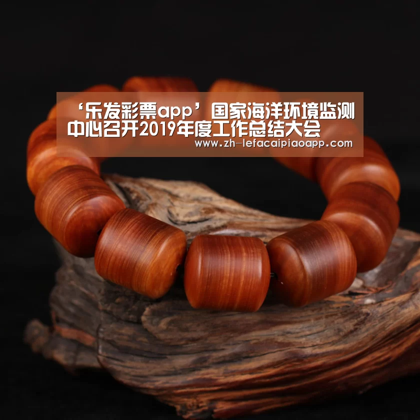 ‘乐发彩票app’国家海洋环境监测中心召开2019年度工作总结大会(图3) 乐发彩票app