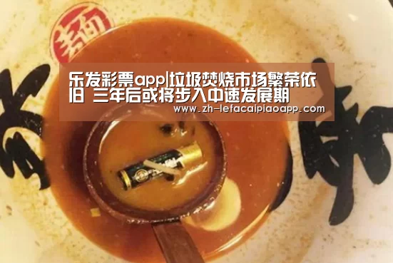 乐发彩票app|垃圾焚烧市场繁荣依旧 三年后或将步入中速发展期(图1) 乐发彩票app